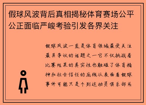 假球风波背后真相揭秘体育赛场公平公正面临严峻考验引发各界关注